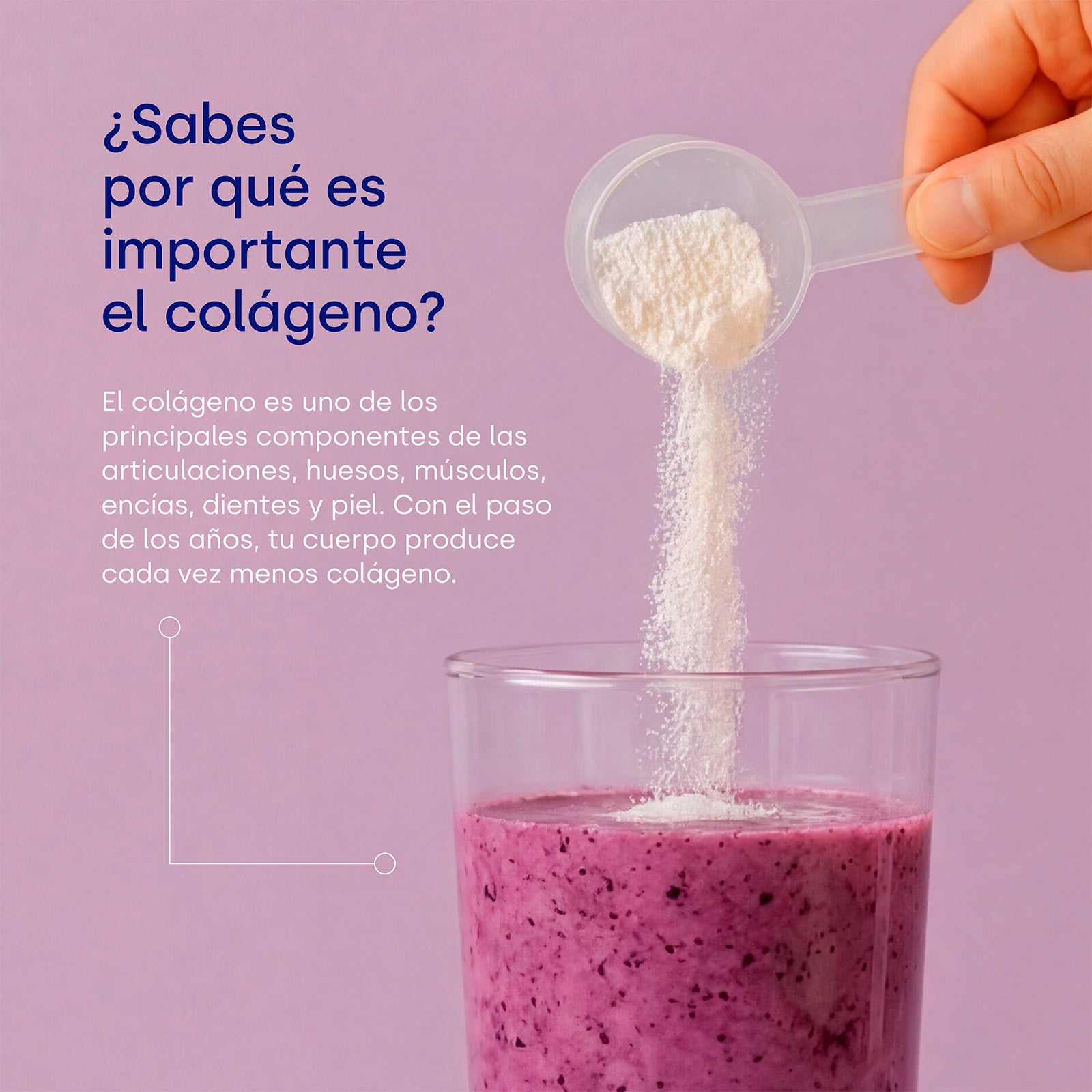 colnatur-complex-frutas-del-bosque-col-geno-hidrolizado-4-en-1 image 3