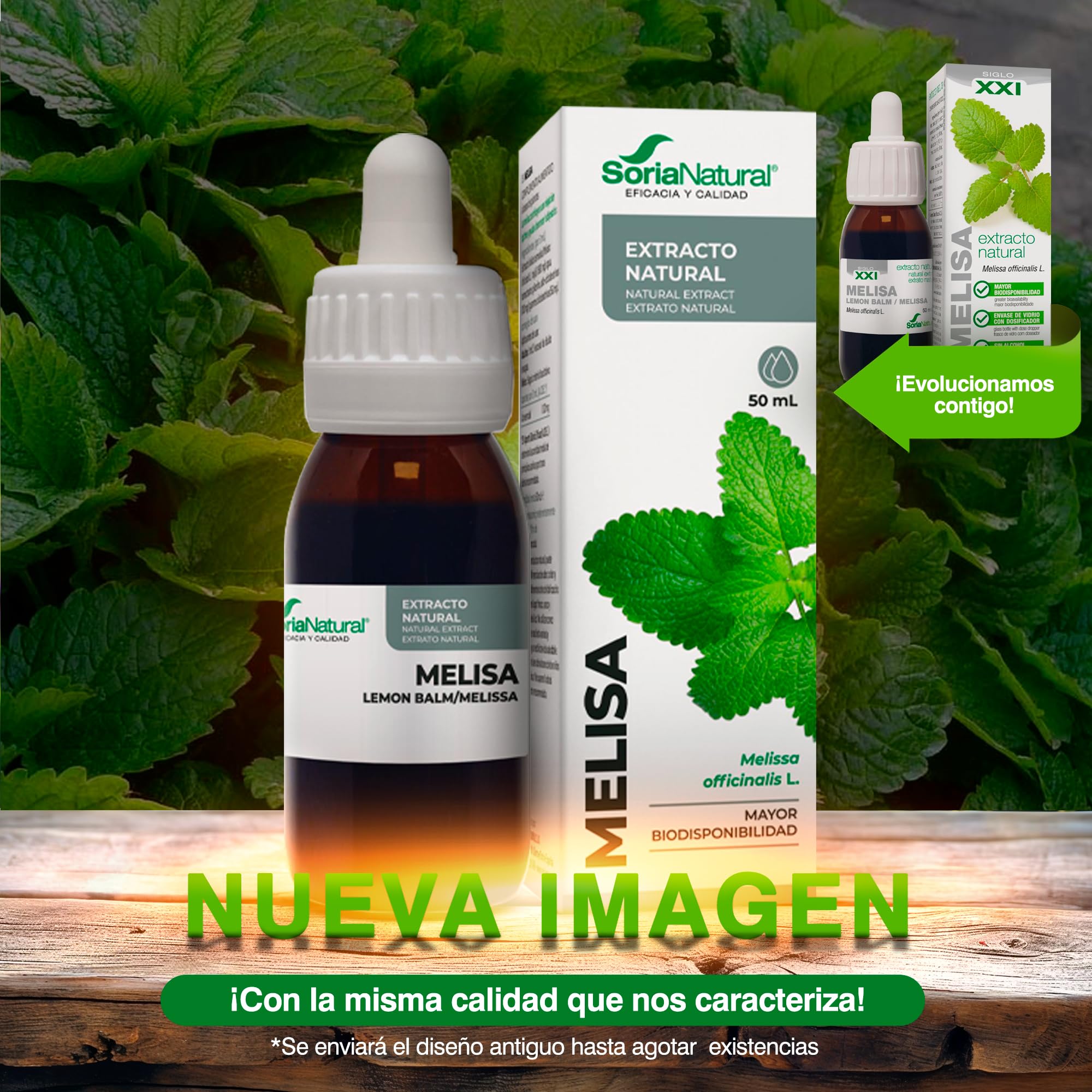 soria-natural-extracto-de-melisa-en-gotas-50-ml-extractos-siglo-xxi image 2