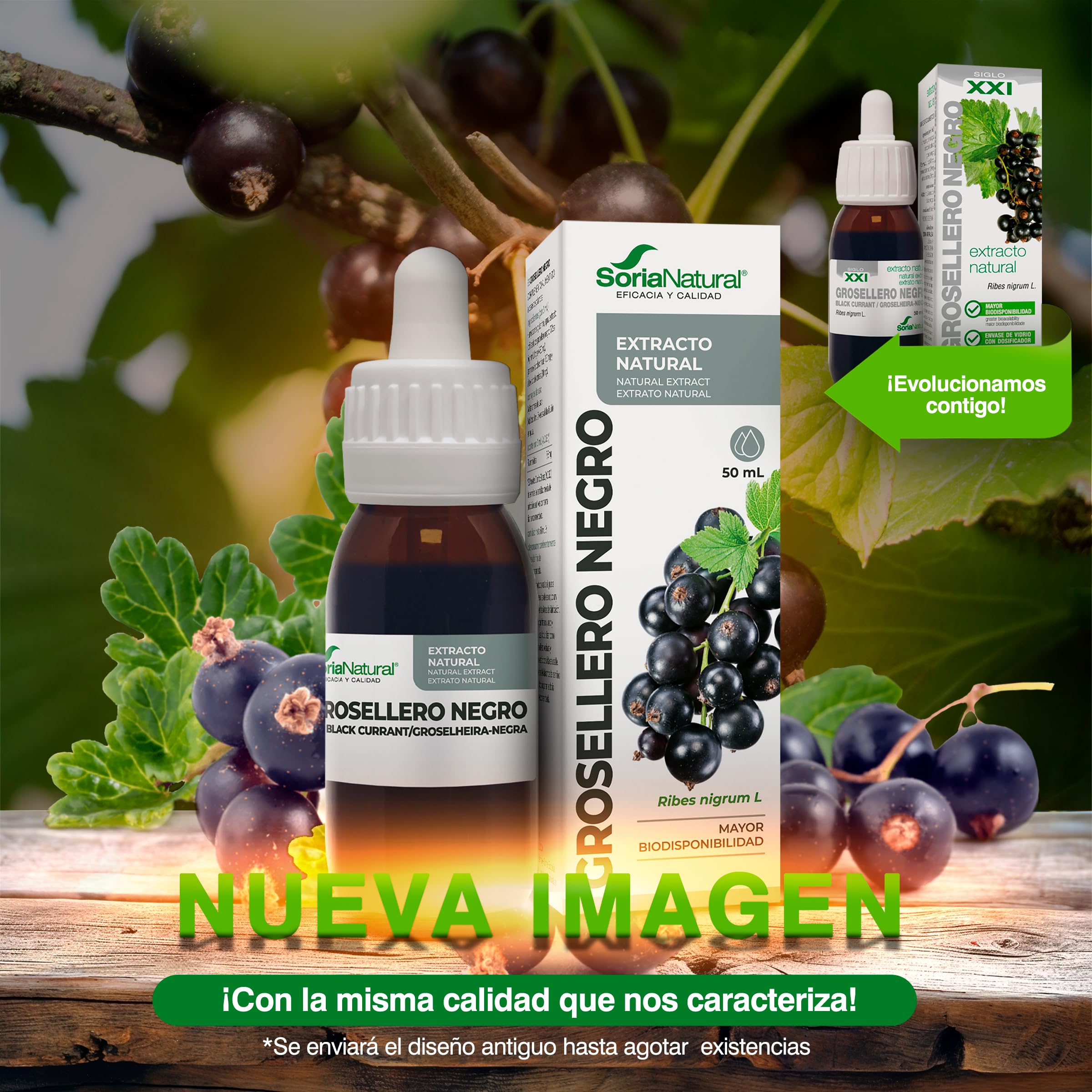 soria-natural-extracto-de-grosellero-negro-50-ml image 2