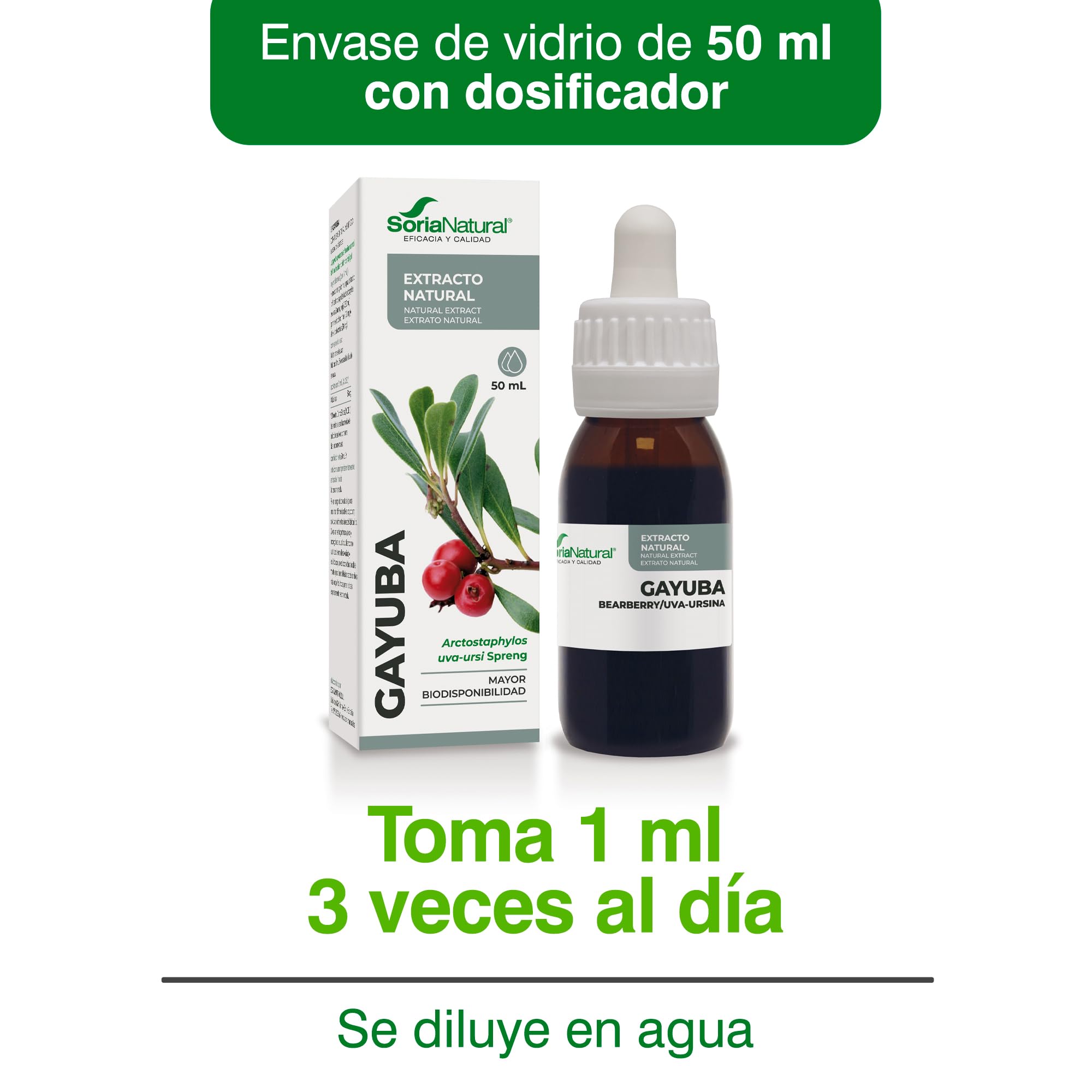 soria-natural-extracto-de-gayuba-50-ml-extractos-siglo-xxi image 5