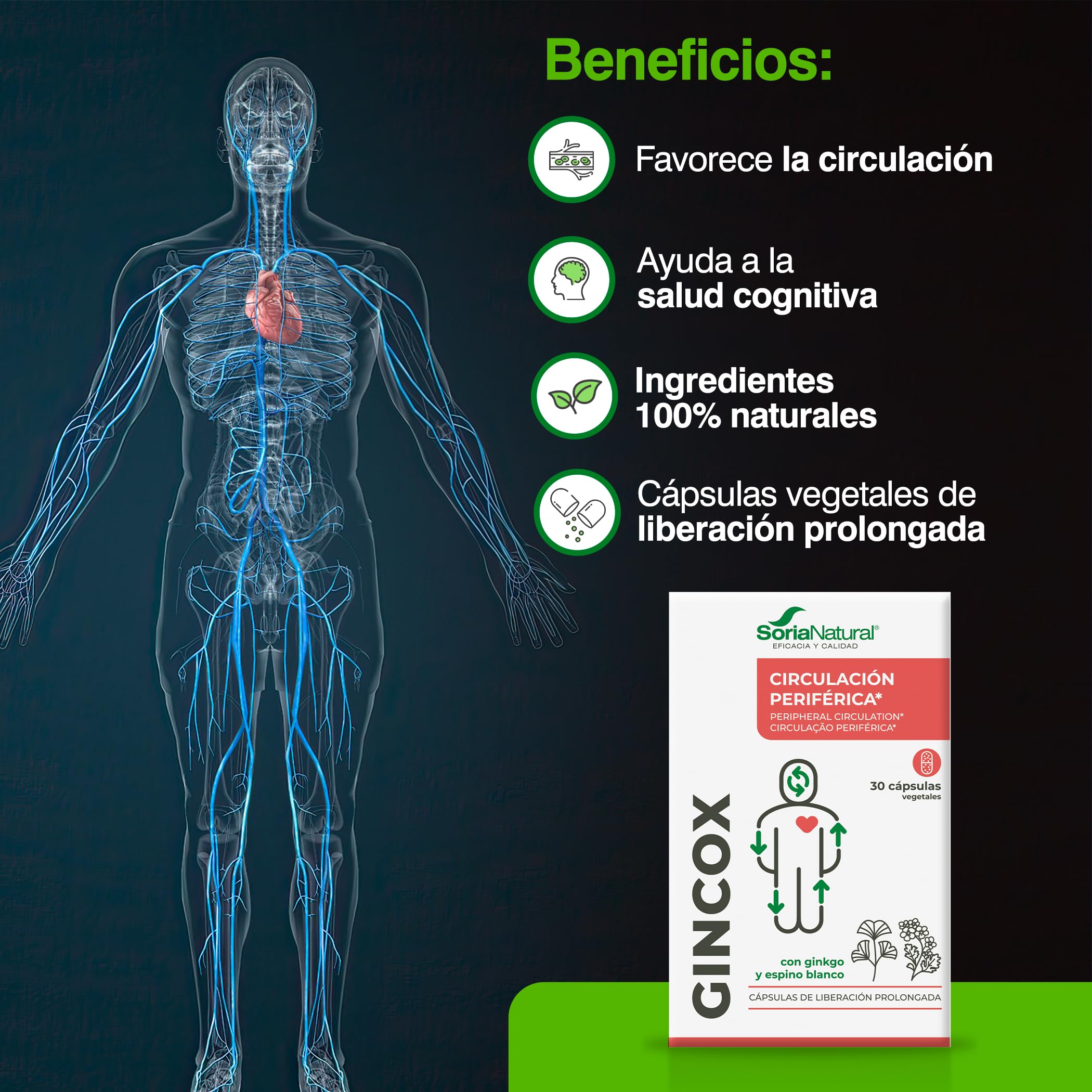 soria-natural-gincox-con-ginkgo-biloba-y-espino-blanco-30-c-psulas image 4