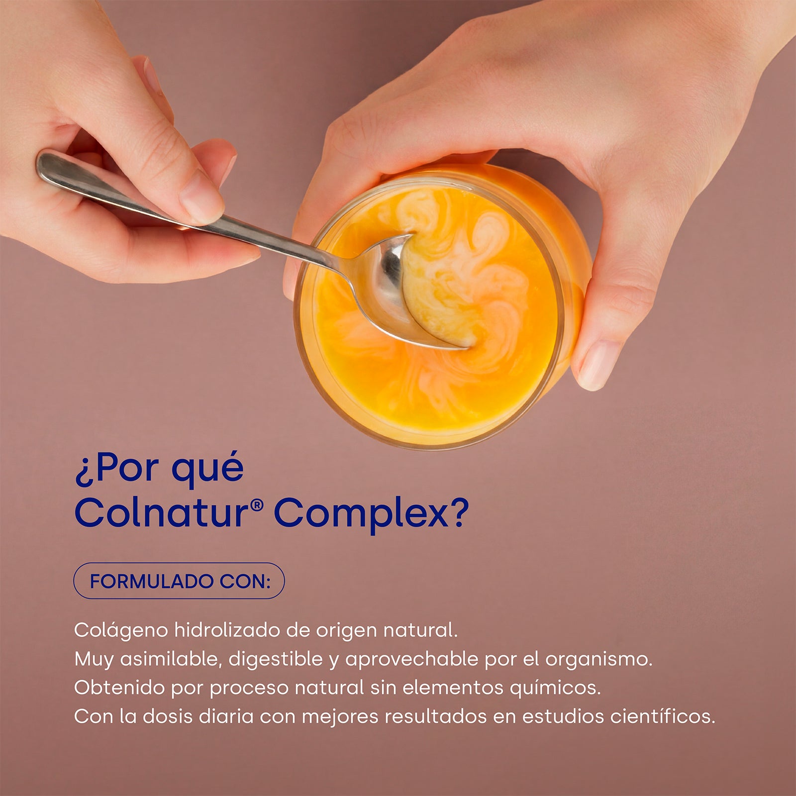 colnatur-complex-chocolate-col-geno-con-cido-hialur-nico image 2