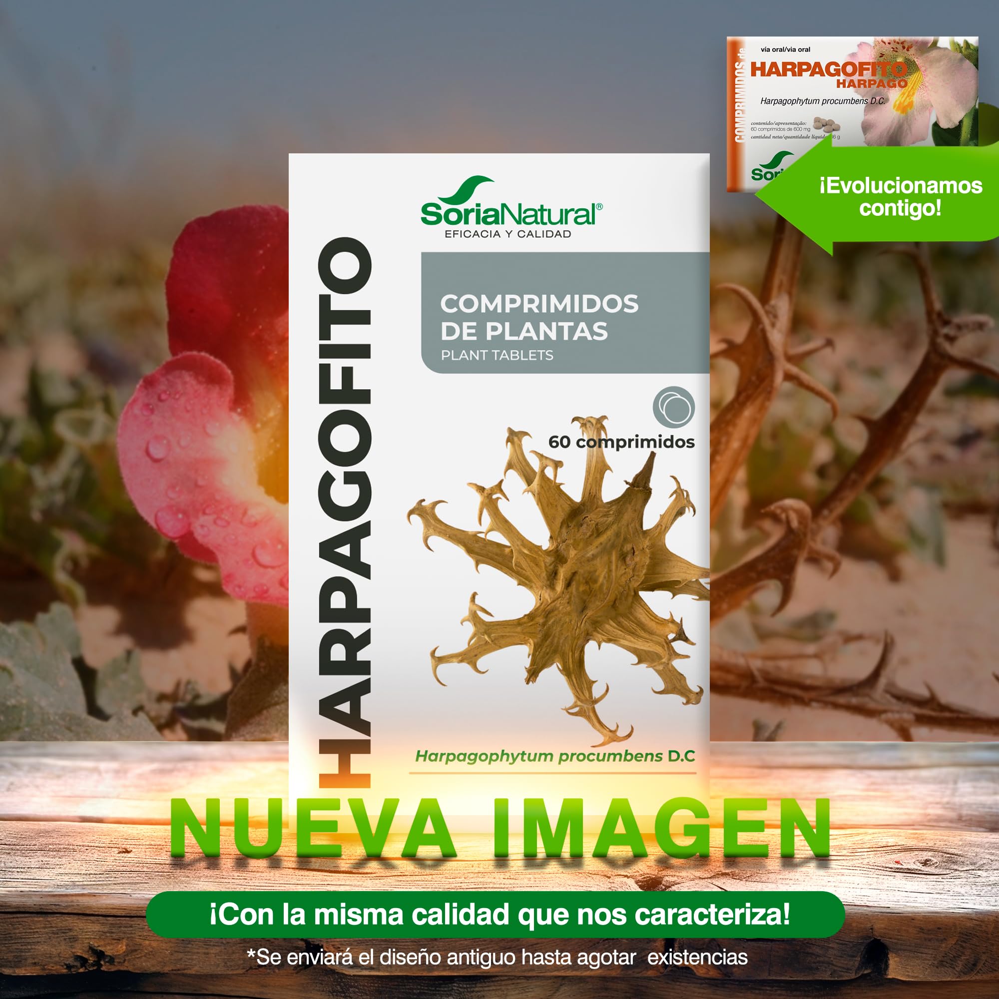 soria-natural-harpagofito-600-mg-60-comprimidos image 2