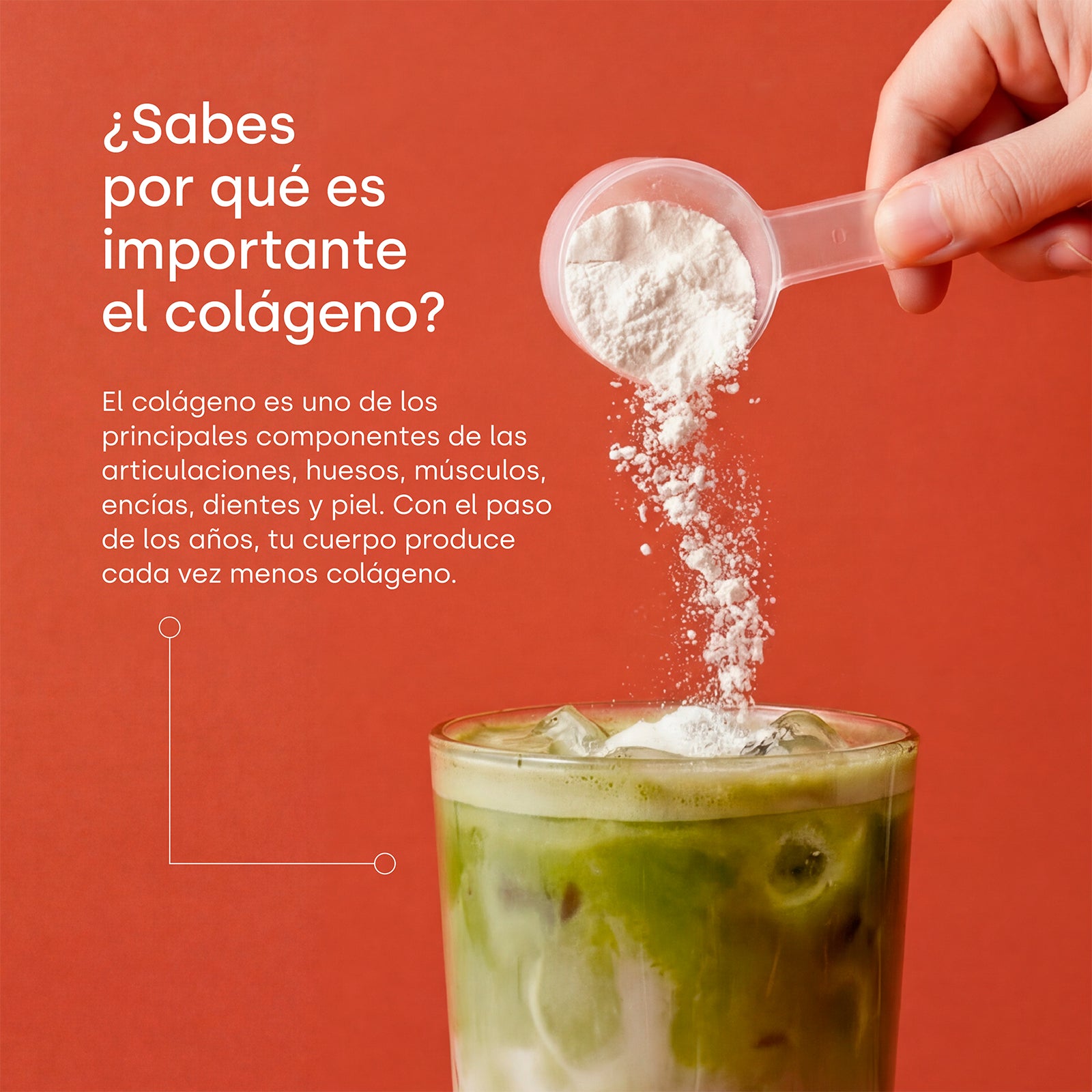 colnatur-sport-lim-n-prote-na-de-col-geno-para-deportistas image 3