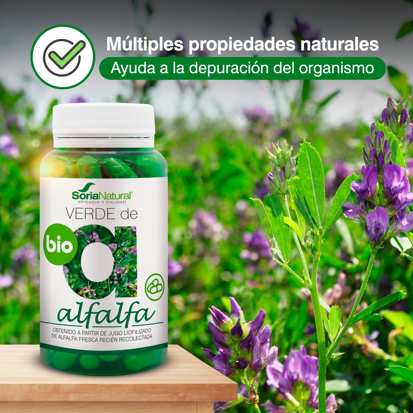 soria-natural-verde-de-alfalfa-80-c-psulas image 2