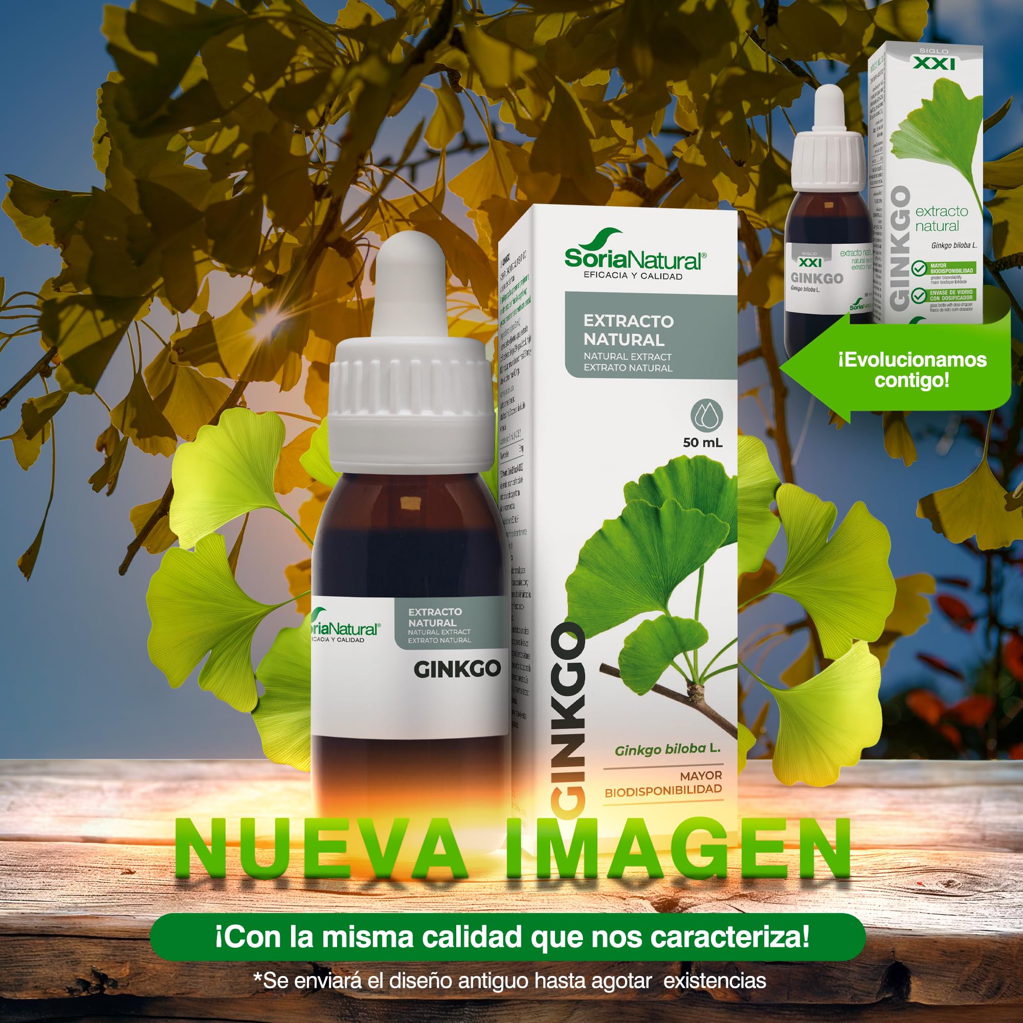 soria-natural-ginkgo-biloba-extracto-50-ml-salud-cognitiva-memoria-y-circulaci-n image 2