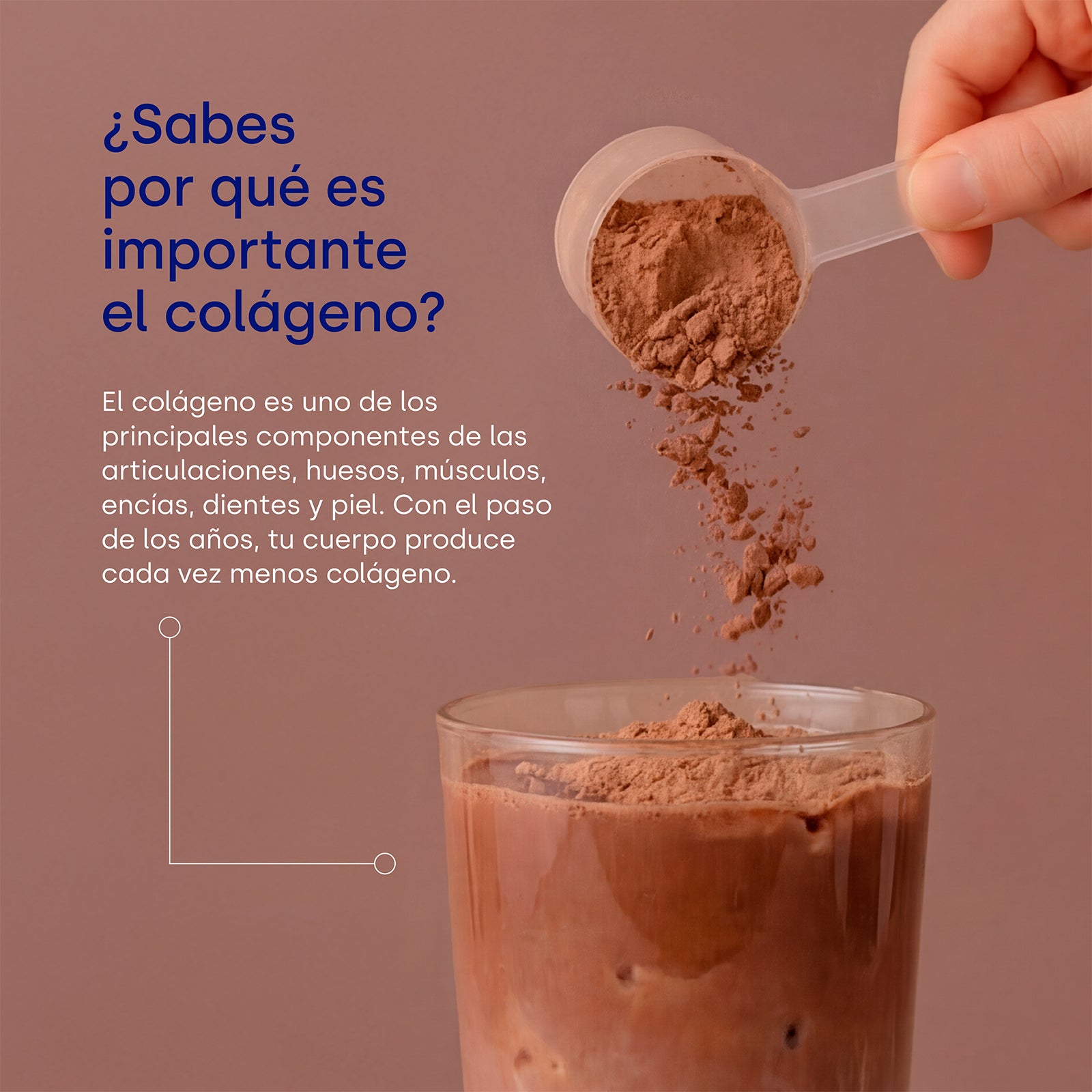 colnatur-complex-chocolate-col-geno-con-cido-hialur-nico image 3