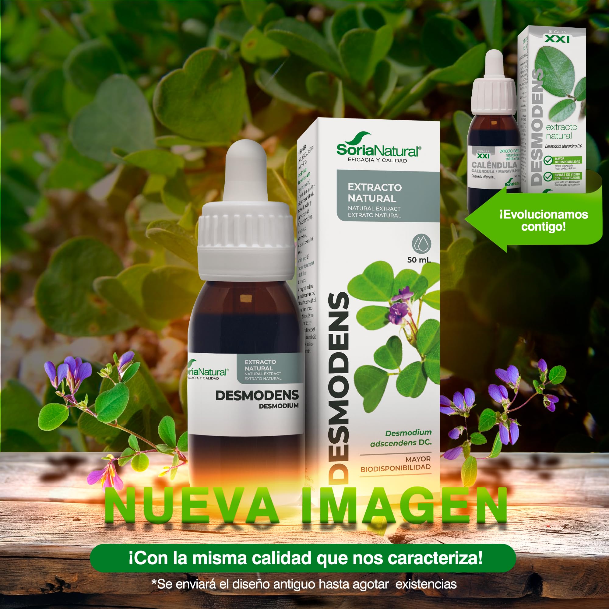 extracto-de-desmodens-soria-natural-50-ml image 2