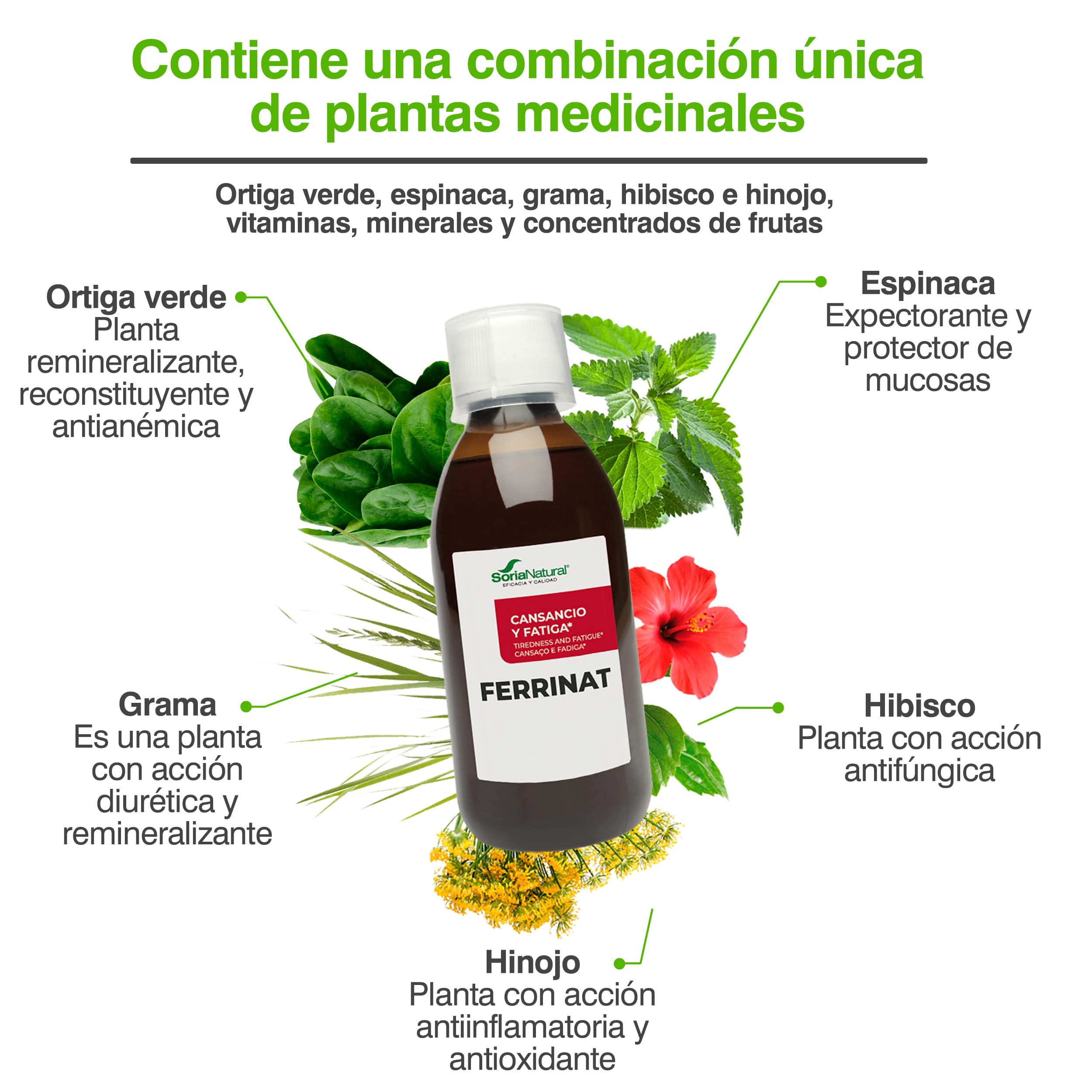 soria-natural-ferrinat-hierro-con-vitaminas-b12-b6-b2-b1-y-c-250-ml-alta-absorci image 5