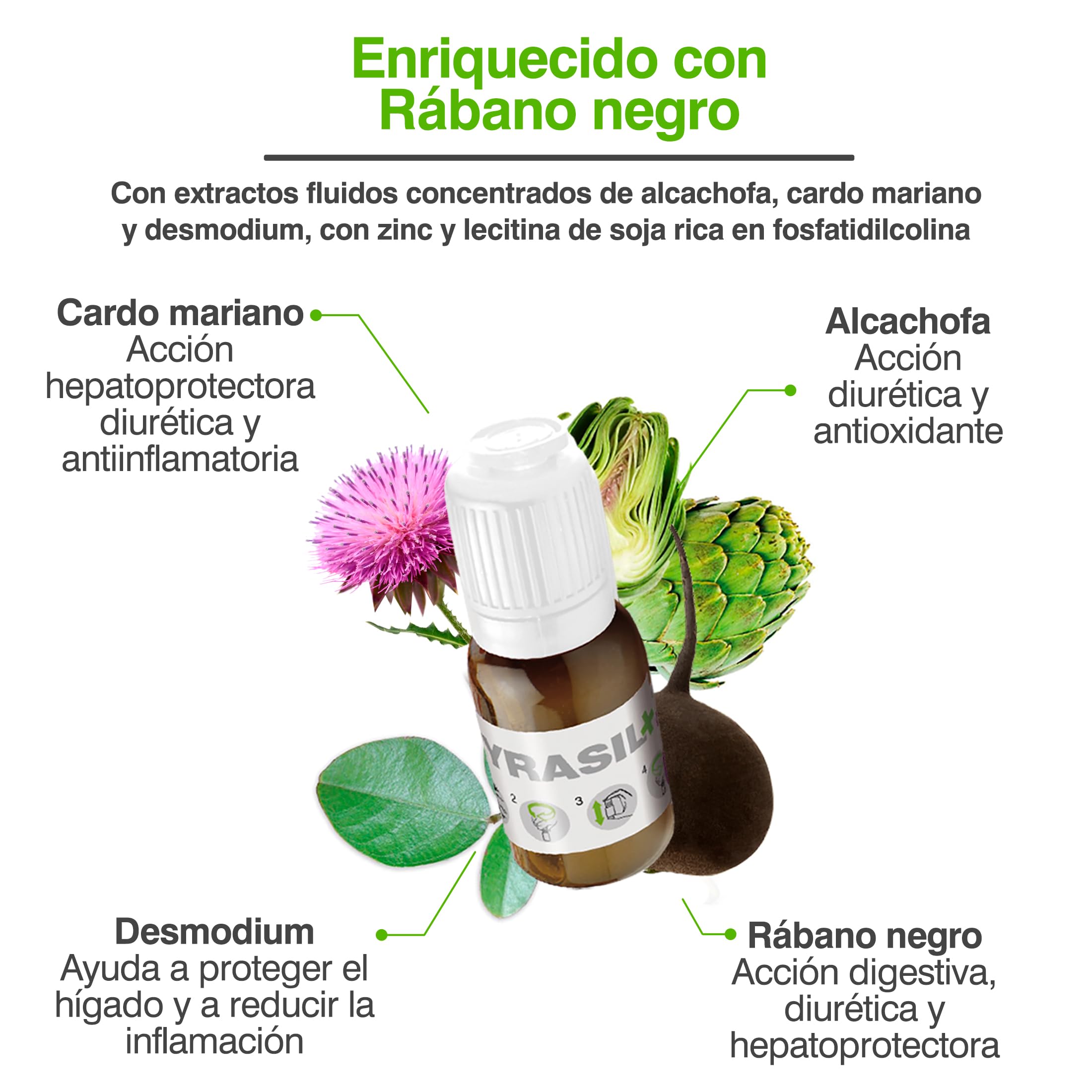 soria-natural-cyrasil-plus-15-viales-detox-potente-con-r-bano-negro-alcachofa-ca image 5