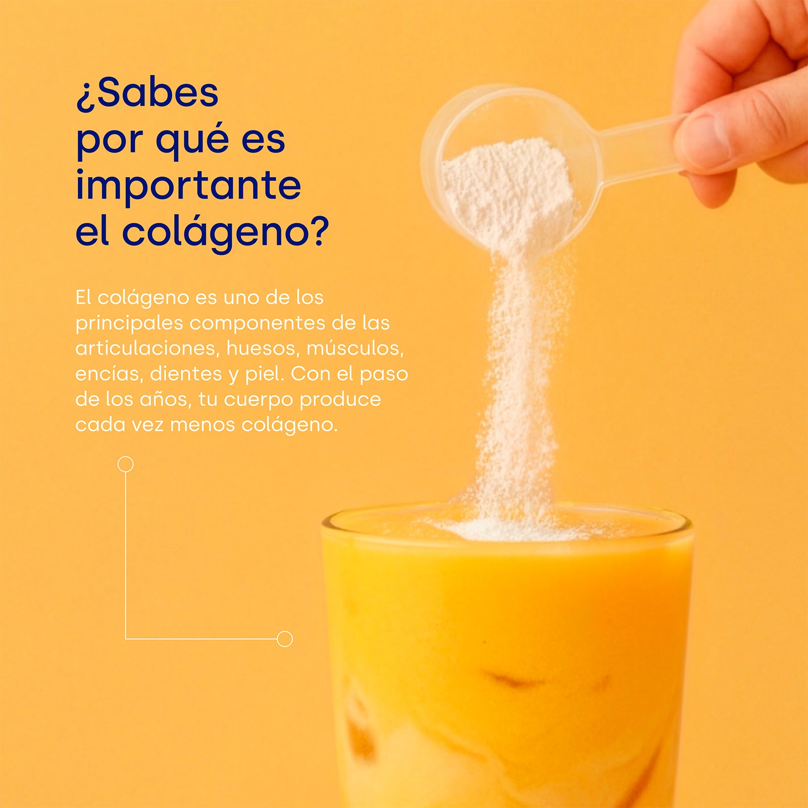 colnatur-complex-c-rcuma-4-en-1-col-geno-para-movilidad image 3
