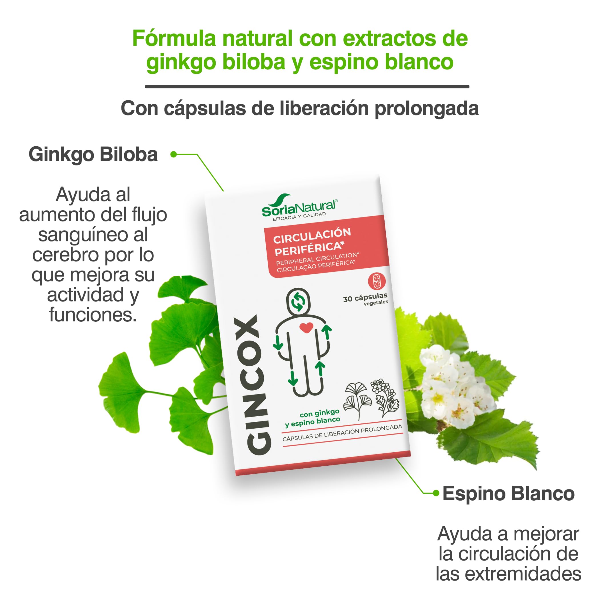 soria-natural-gincox-con-ginkgo-biloba-y-espino-blanco-30-c-psulas image 5