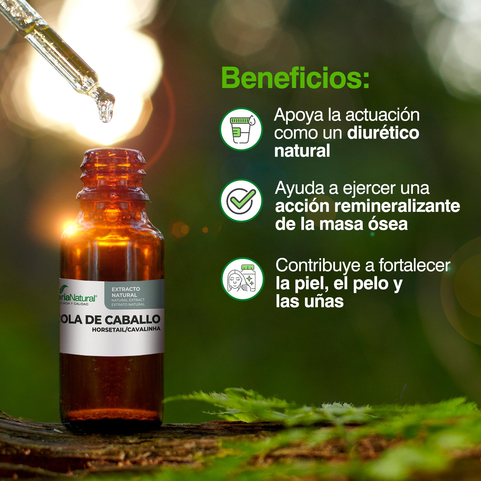 soria-natural-extracto-de-cola-de-caballo-con-ciclodextrinas-50-ml image 4