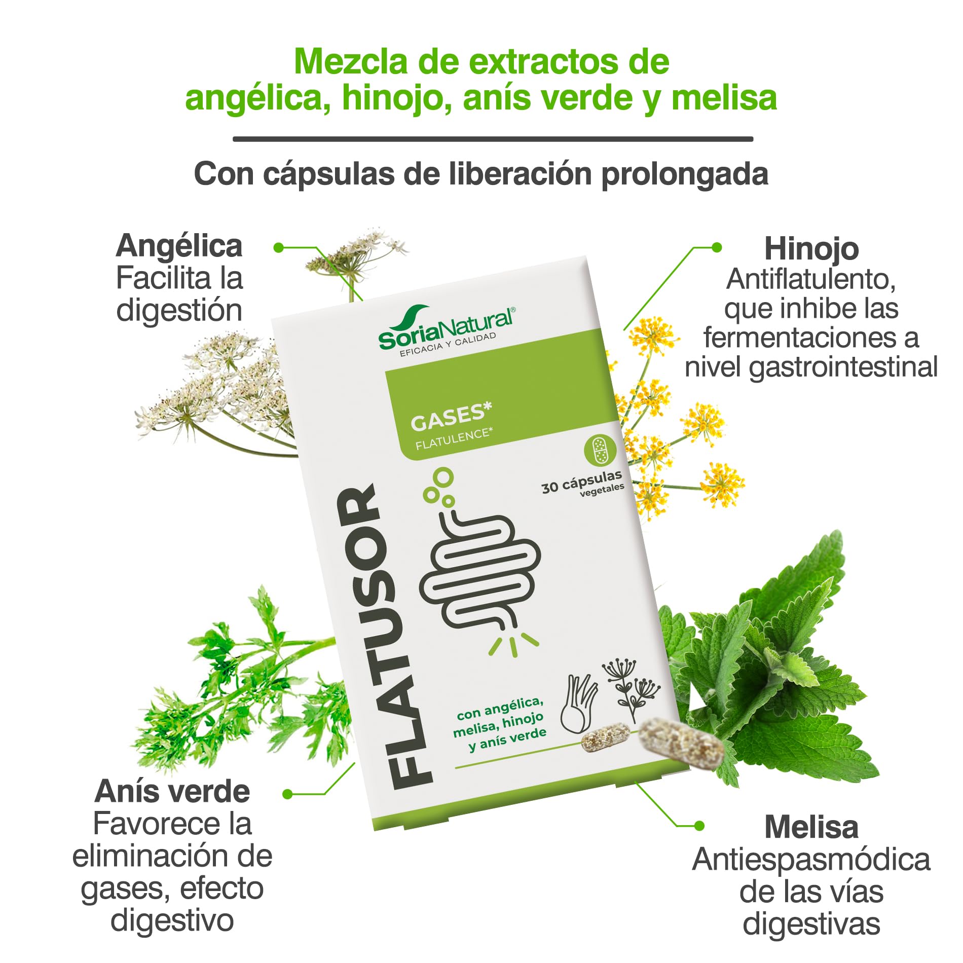 soria-natural-flatusor-liberaci-n-prolongada-30-c-psulas image 5