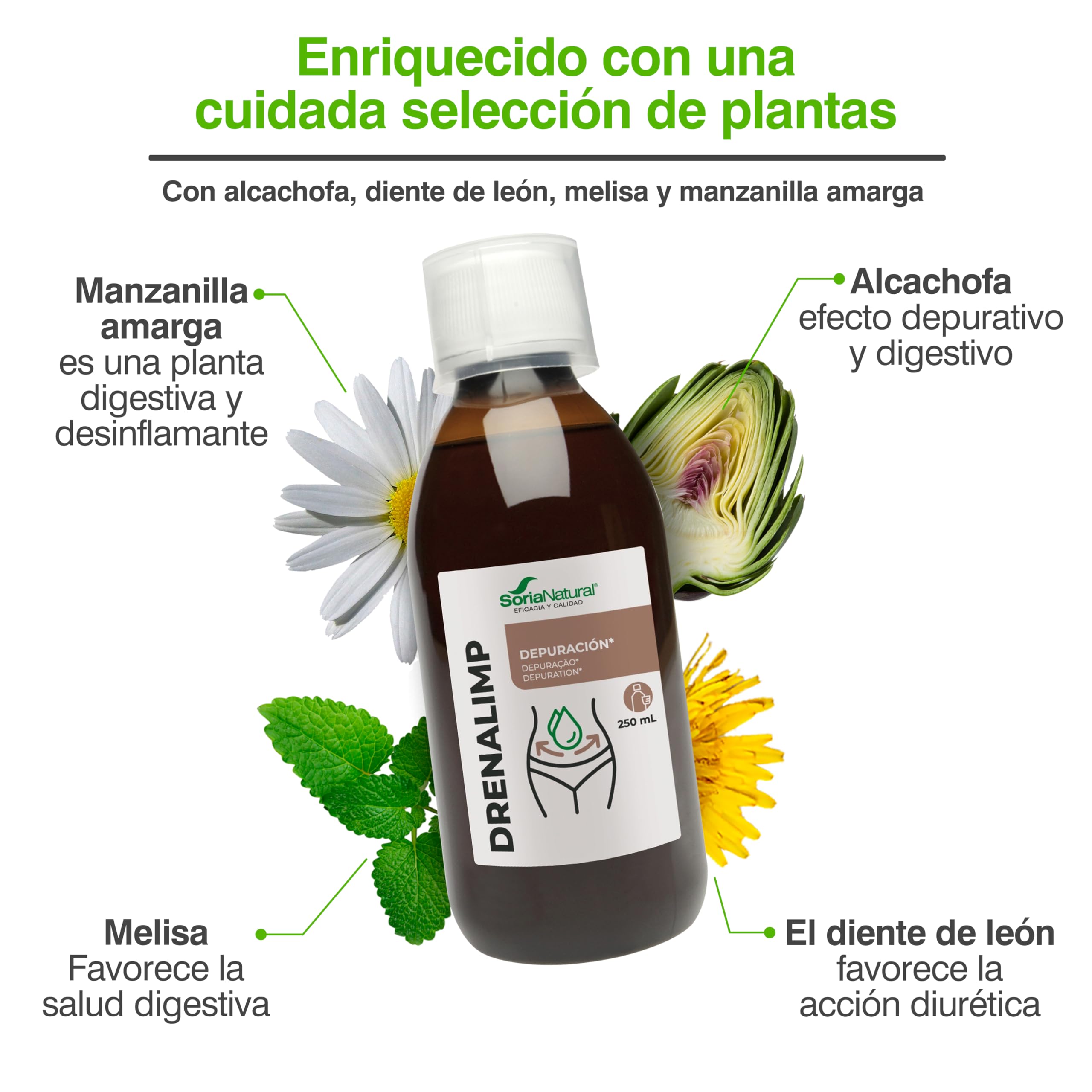 soria-natural-drenalimp-soluci-n-oral-depurativo-con-alcachofa-diente-de-le-n-me image 5