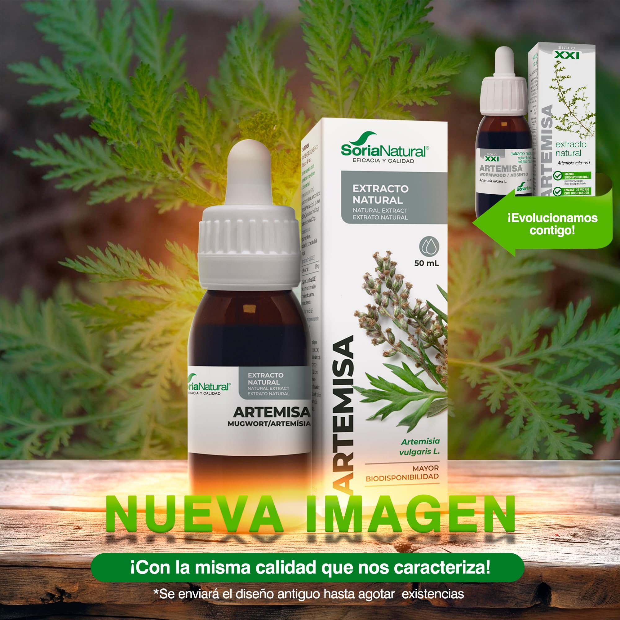 soria-natural-extracto-de-artemisa-50-ml-extractos-siglo-xxi image 2
