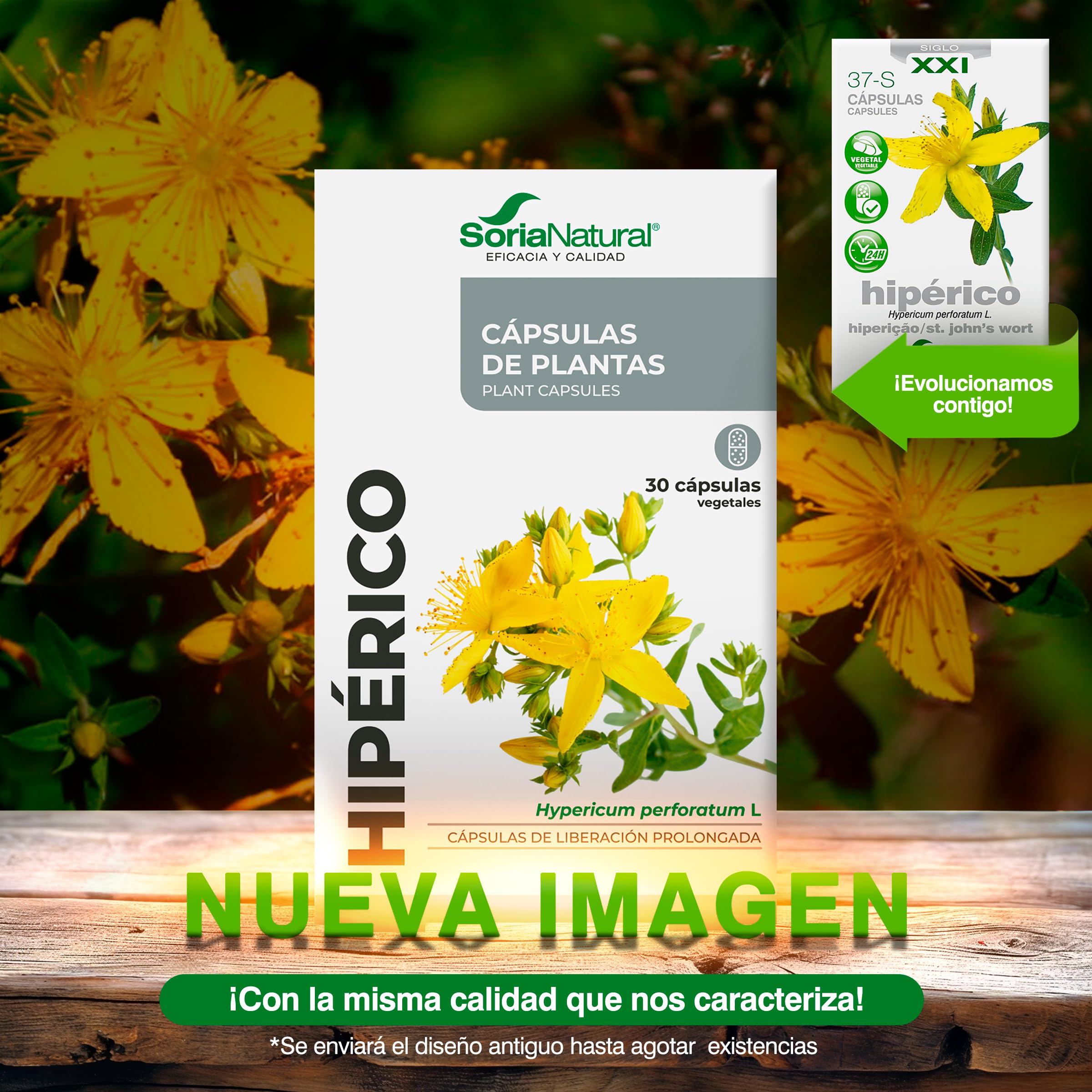 soria-natural-hip-rico-690-mg-30-c-psulas-de-hierba-de-san-juan image 2
