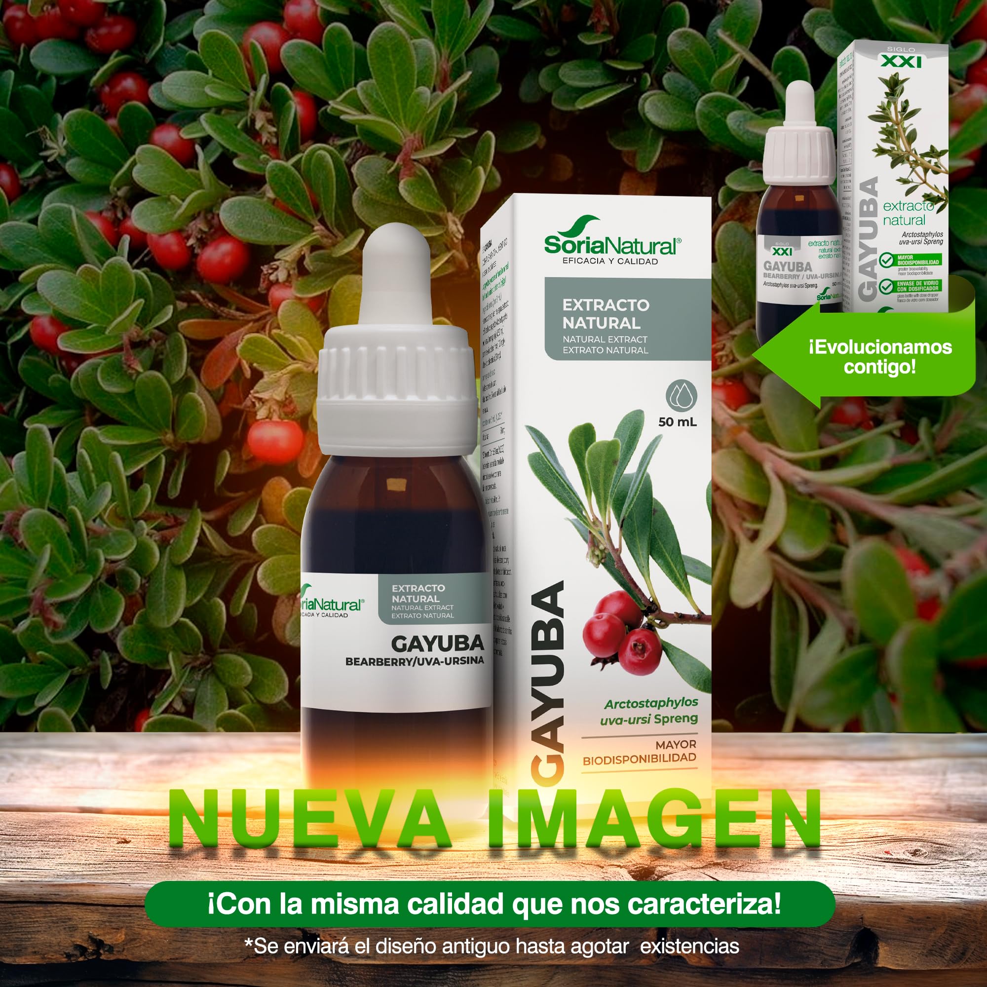 soria-natural-extracto-de-gayuba-50-ml-extractos-siglo-xxi image 2