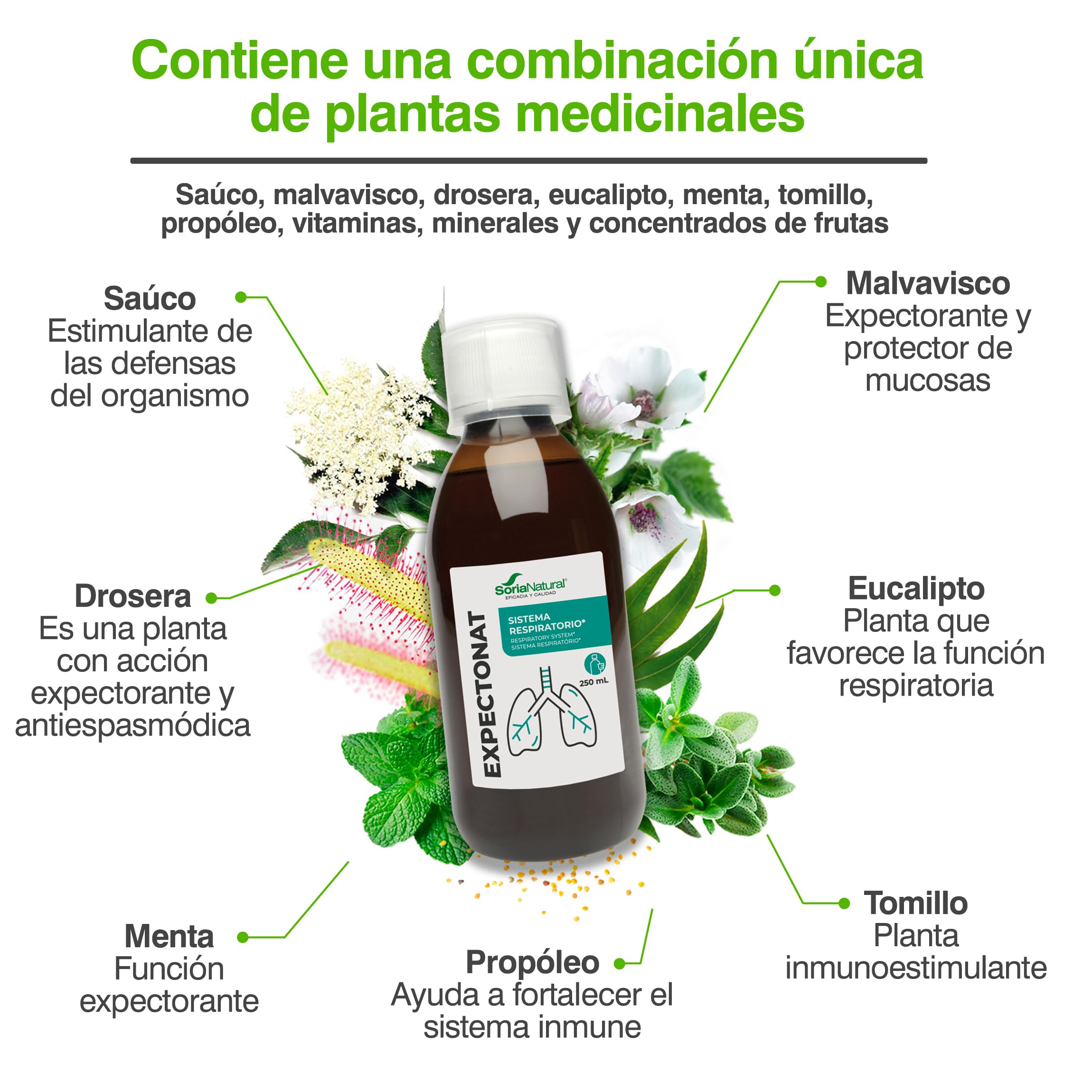 soria-natural-expectonat-jarabe-para-adultos-250-ml image 5
