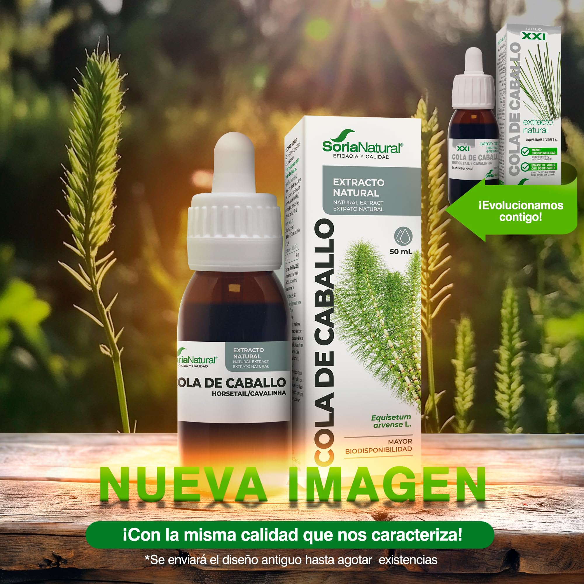 soria-natural-extracto-de-cola-de-caballo-con-ciclodextrinas-50-ml image 2