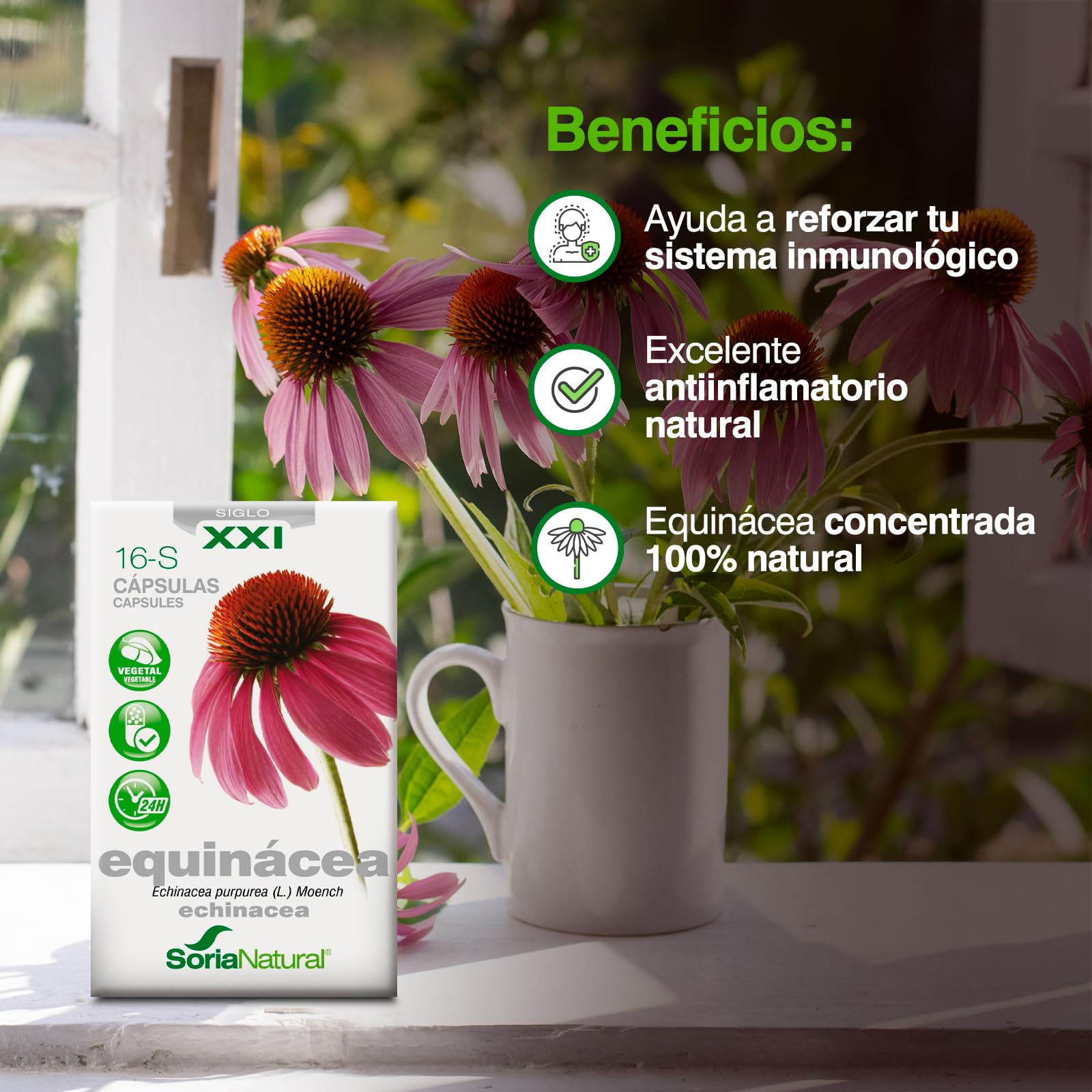 soria-natural-equin-cea-30-c-psulas image 4