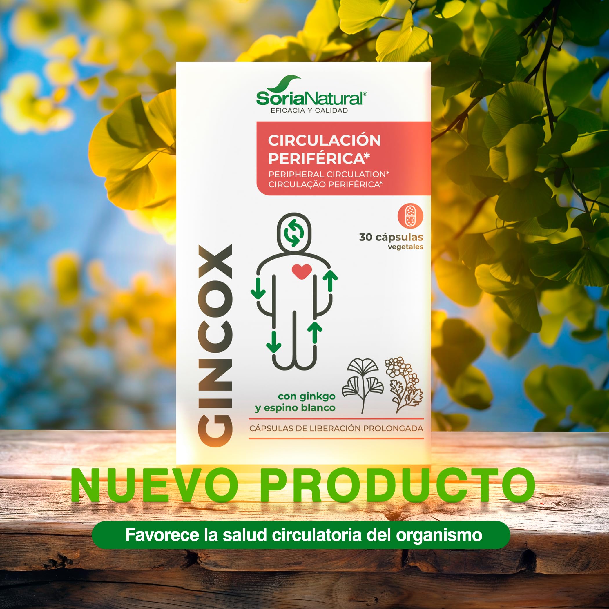 soria-natural-gincox-con-ginkgo-biloba-y-espino-blanco-30-c-psulas image 2